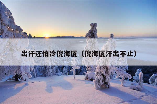 出汗还怕冷倪海厦(倪海厦汗出不止)
