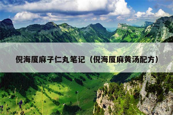 倪海厦麻子仁丸笔记（倪海厦麻黄汤配方）