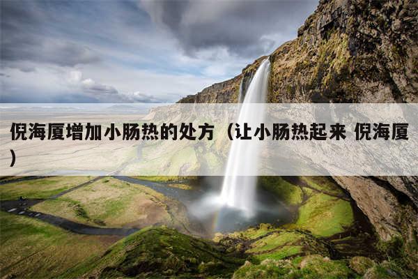 倪海厦增加小肠热的处方(让小肠热起来 倪海厦)