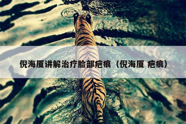 倪海厦讲解治疗脸部疤痕(倪海厦 疤痕)