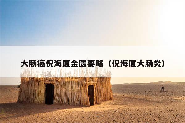 大肠癌倪海厦金匮要略（倪海厦大肠炎）