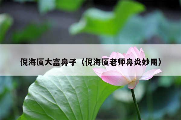 倪海厦大富鼻子(倪海厦老师鼻炎妙用)