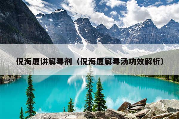倪海厦讲解毒剂(倪海厦解毒汤功效解析)