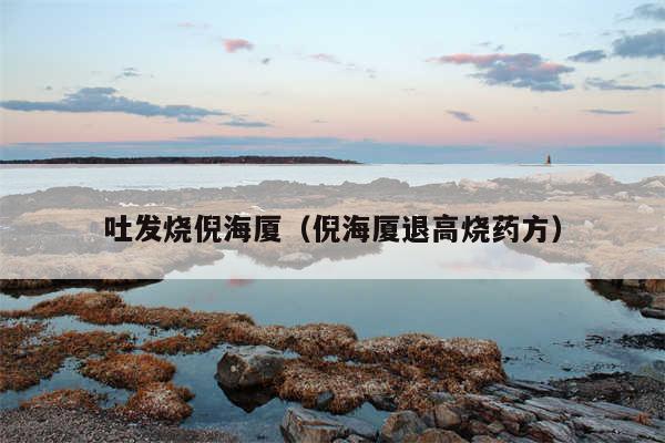 吐发烧倪海厦(倪海厦退高烧药方)