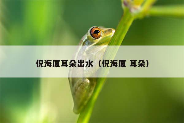 倪海厦耳朵出水(倪海厦 耳朵)