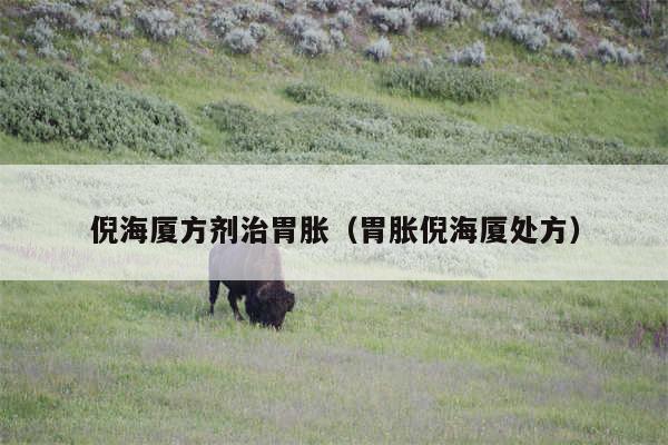 倪海厦方剂治胃胀（胃胀倪海厦处方）