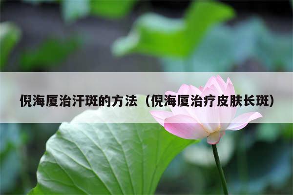 倪海厦治汗斑的方法(倪海厦治疗皮肤长斑)