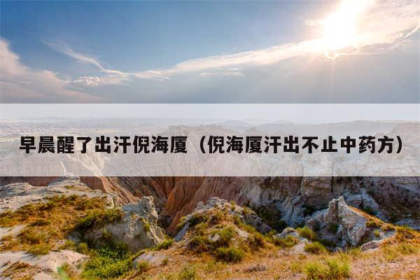 早晨醒了出汗倪海厦(倪海厦汗出不止中药方)