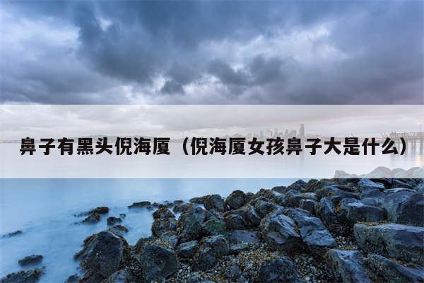 鼻子有黑头倪海厦(倪海厦女孩鼻子大是什么)