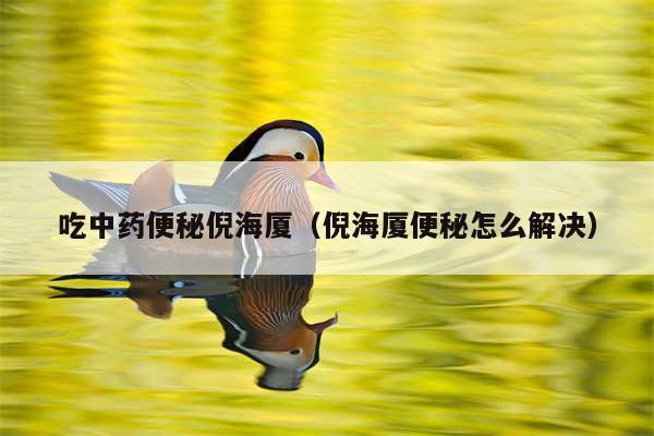 吃中药便秘倪海厦（倪海厦便秘怎么解决）