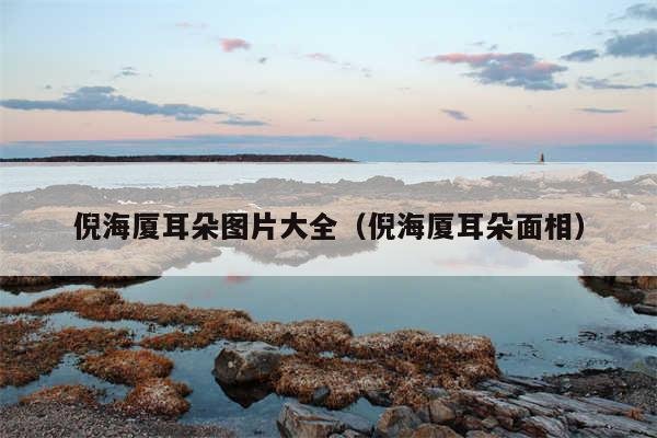 倪海厦耳朵图片大全（倪海厦耳朵面相）
