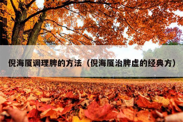 倪海厦调理脾的方法(倪海厦治脾虚的经典方)