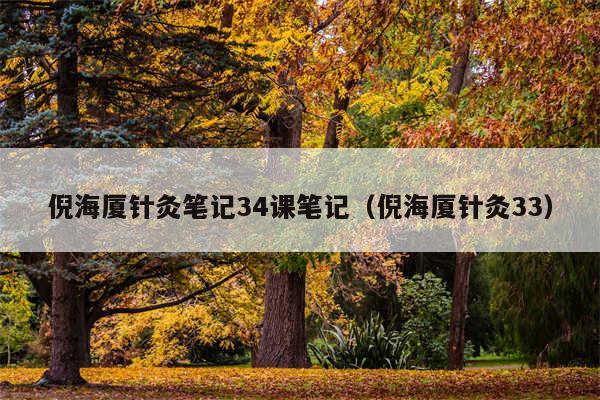 倪海厦针灸笔记34课笔记(倪海厦针灸33)