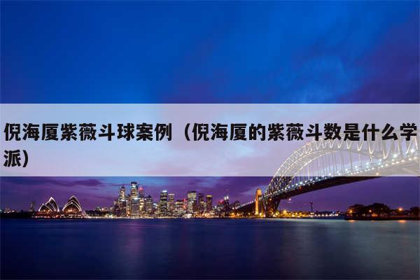 倪海厦紫薇斗球案例(倪海厦的紫薇斗数是什么学派)