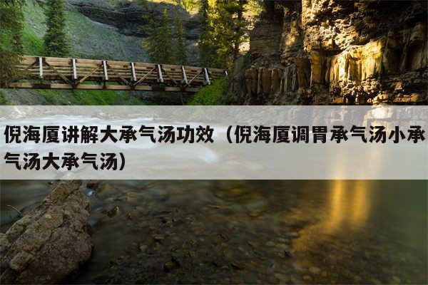 倪海厦讲解大承气汤功效(倪海厦调胃承气汤小承气汤大承气汤)