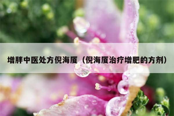 增胖中医处方倪海厦(倪海厦治疗增肥的方剂)