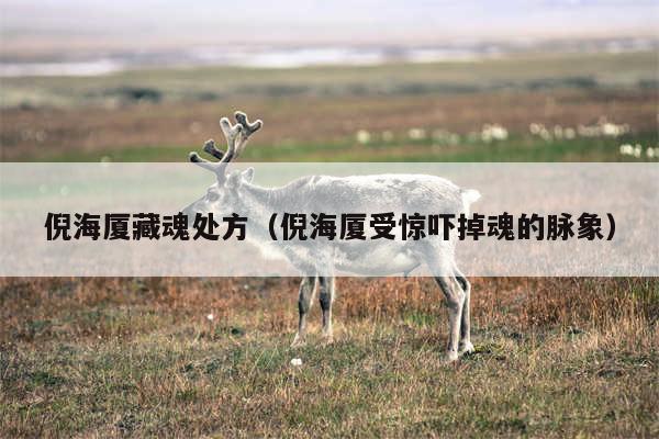 倪海厦藏魂处方(倪海厦受惊吓掉魂的脉象)