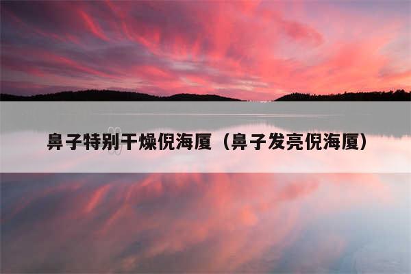 鼻子特别干燥倪海厦(鼻子发亮倪海厦)