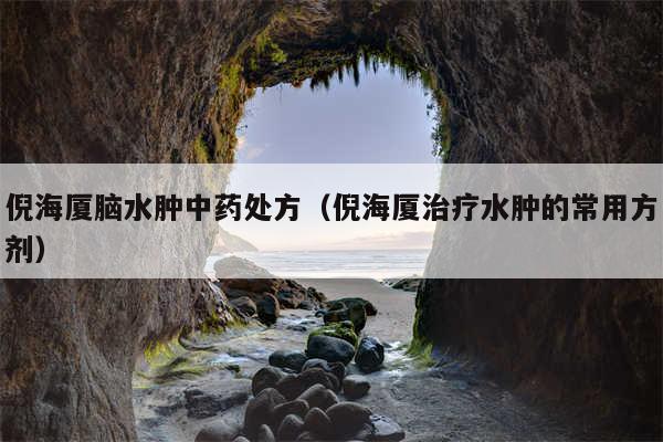 倪海厦脑水肿中药处方(倪海厦治疗水肿的常用方剂)