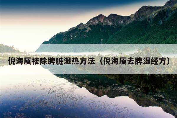 倪海厦祛除脾脏湿热方法(倪海厦去脾湿经方)
