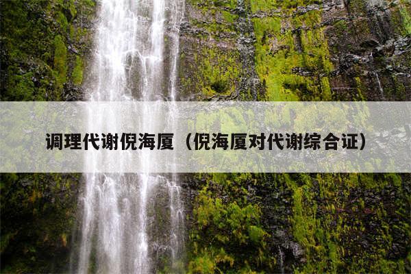 调理代谢倪海厦(倪海厦对代谢综合证)
