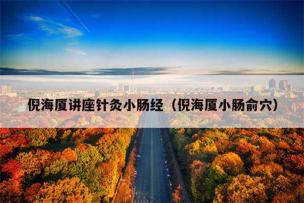 倪海厦讲座针灸小肠经(倪海厦小肠俞穴)