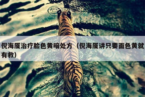 倪海厦治疗脸色黄暗处方(倪海厦讲只要面色黄就有救)