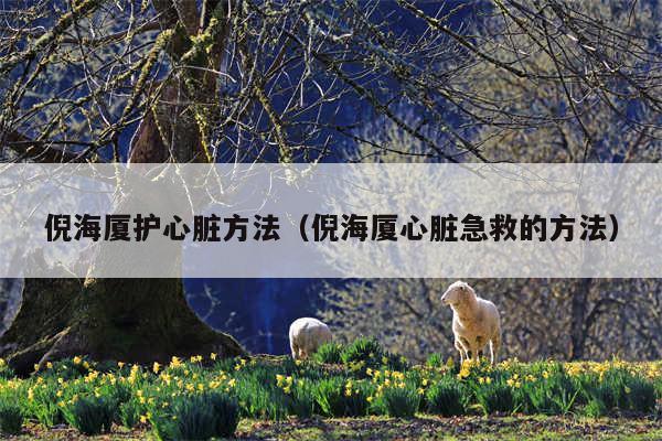 倪海厦护心脏方法(倪海厦心脏急救的方法)