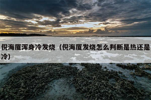 倪海厦浑身冷发烧（倪海厦发烧怎么判断是热还是冷）