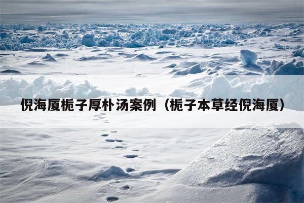 倪海厦栀子厚朴汤案例(栀子本草经倪海厦)