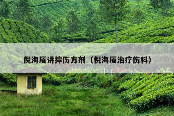 倪海厦讲摔伤方剂（倪海厦治疗伤科）