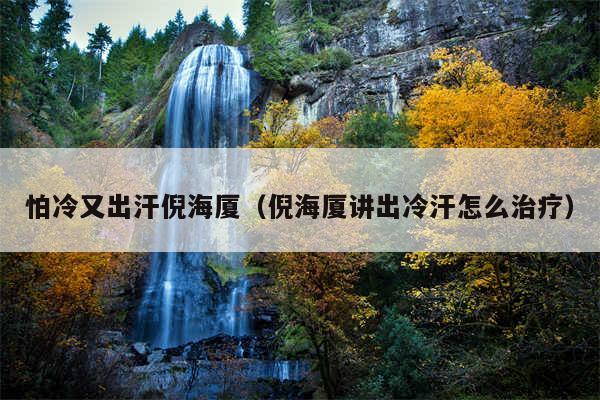 怕冷又出汗倪海厦(倪海厦讲出冷汗怎么治疗)