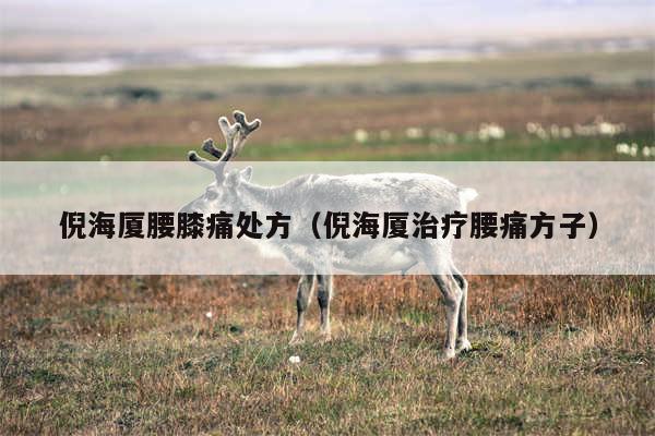 倪海厦腰膝痛处方(倪海厦治疗腰痛方子)
