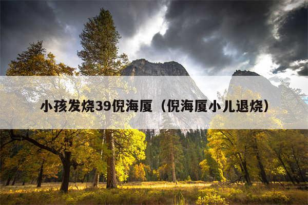 小孩发烧39倪海厦（倪海厦小儿退烧）