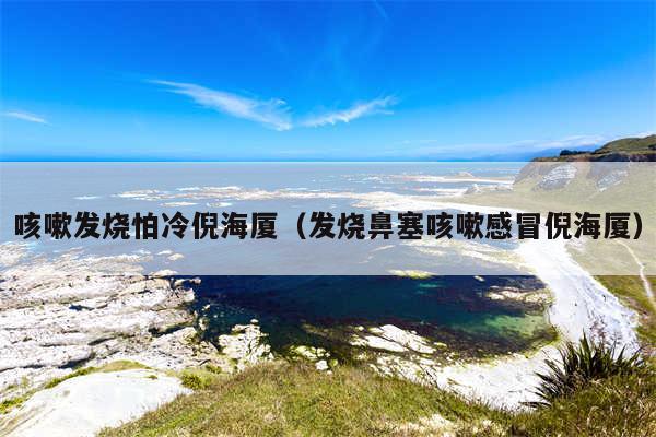 咳嗽发烧怕冷倪海厦(发烧鼻塞咳嗽感冒倪海厦)