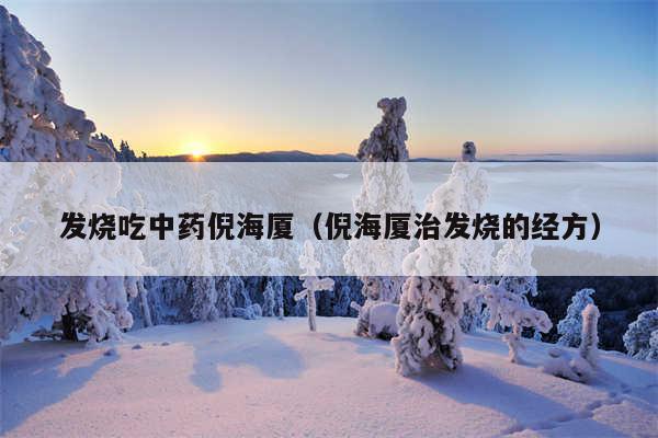 发烧吃中药倪海厦(倪海厦治发烧的经方)