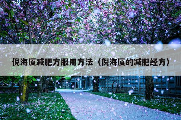倪海厦减肥方服用方法(倪海厦的减肥经方)