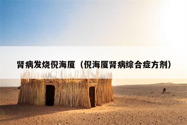 肾病发烧倪海厦(倪海厦肾病综合症方剂)