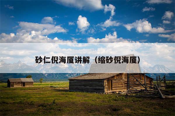 砂仁倪海厦讲解(缩砂倪海厦)
