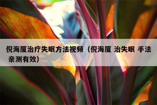 倪海厦治疗失眠方法视频(倪海厦 治失眠 手法 亲测有效)