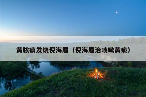 黄脓痰发烧倪海厦(倪海厦治咳嗽黄痰)