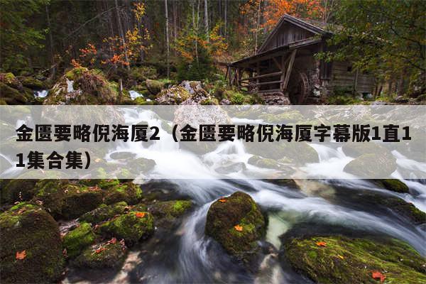 金匮要略倪海厦2(金匮要略倪海厦字幕版1直11集合集)