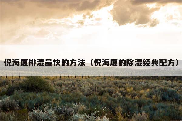 倪海厦排湿最快的方法(倪海厦的除湿经典配方)