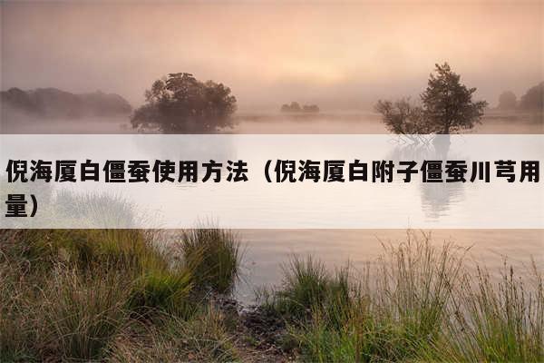 倪海厦白僵蚕使用方法（倪海厦白附子僵蚕川芎用量）