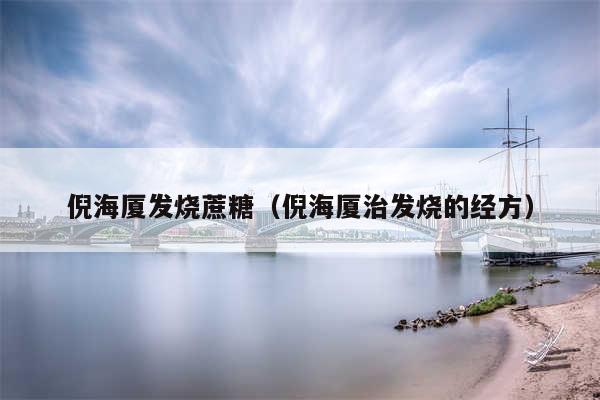 倪海厦发烧蔗糖(倪海厦治发烧的经方)