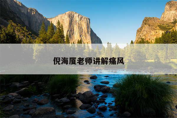 倪海厦老师讲解痛风