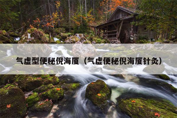 气虚型便秘倪海厦(气虚便秘倪海厦针灸)