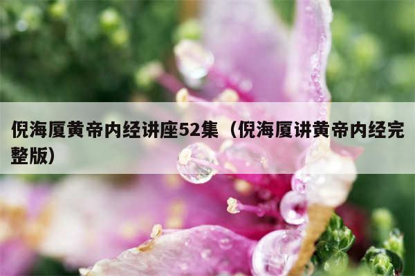 倪海厦黄帝内经讲座52集(倪海厦讲黄帝内经完整版)
