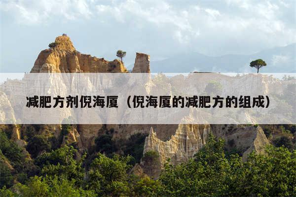减肥方剂倪海厦(倪海厦的减肥方的组成)