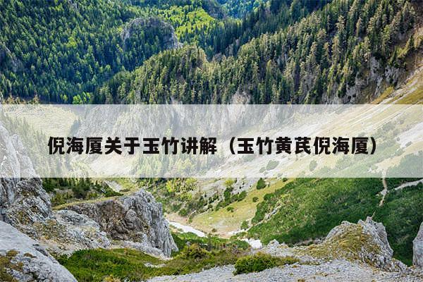 倪海厦关于玉竹讲解(玉竹黄芪倪海厦)